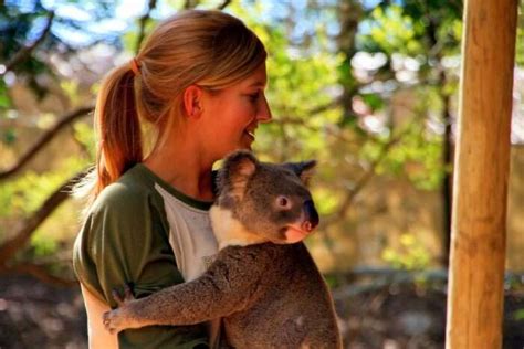 Lone Pine Koala Sanctuary Guide For Aussie Visitors In 2023