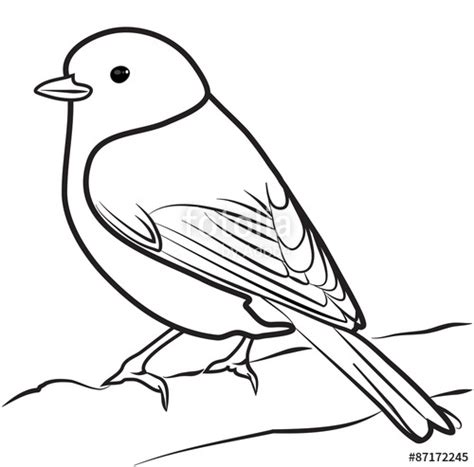 Bird Drawing Outline at GetDrawings | Free download