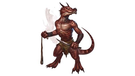 DnD Kobold 5e guide