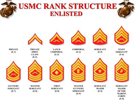 Usmc Ranks, Marine Corps Ranks, Marine Corps Humor, Military Ranks ...