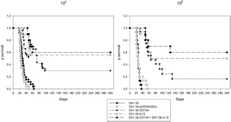 Gene transfer of CD154 and IL12 cDNA induces an anti-leukemic immunity ...