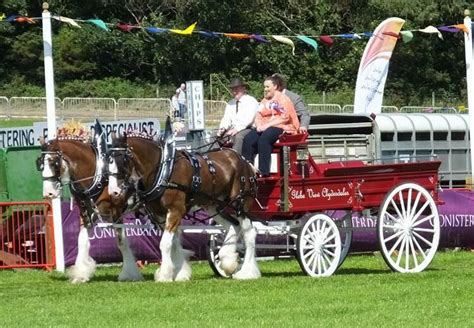 Royal Manx Agricultural Show 2015. Isle of Man Culture & Entertainment ...