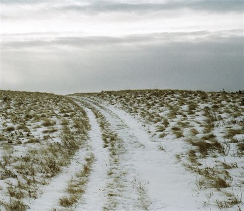 Dreary Winter Day | Nose Hill Park in Calgary on a cloudy wi… | Flickr