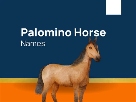 1432+ Palomino Horse Names that Epitomize Elegance and Beauty (+generator)