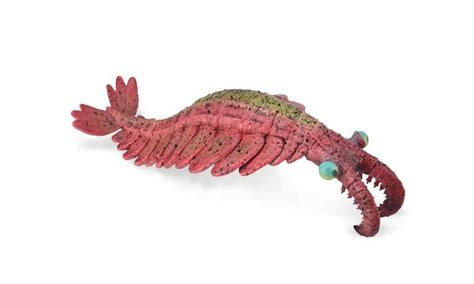 Anomalocaris - Collecta Figures: Animal Toys, Dinosaurs, Farm, Wild ...