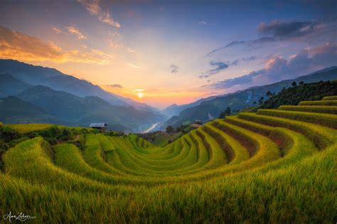 The famous rice terrace from Mu Cang Chai - Vietnam Rice Terraces ...