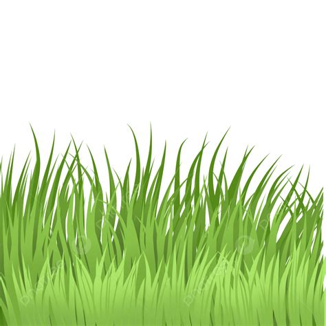 Grass Illustration PNG Picture, Cartoon Grass Illustration, Grass ...