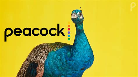 NBC Peacock launch date and plans official: Ad-free and Comcast deals ...