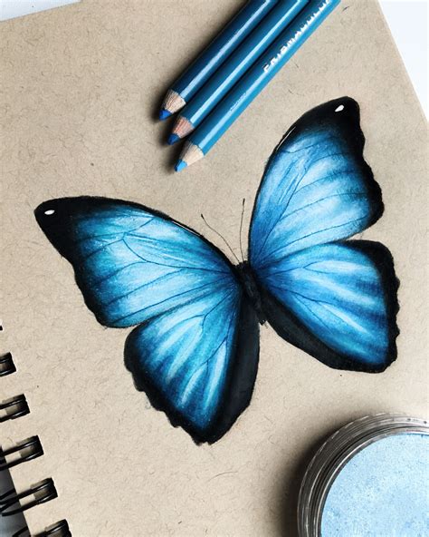 Butterfly Drawing Feedback | PeepsBurgh.Com