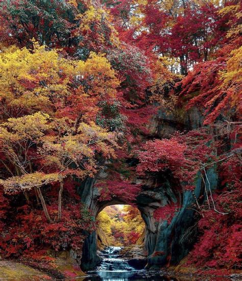 Peaceful spot Japan | Nature photography, Autumn scenery, Nature