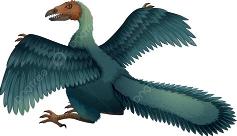 Archaeopteryx Feather Archaios Jurassic Vector, Feather, Archaios ...