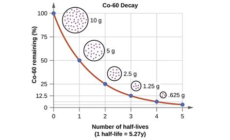 What is half-life & how to use the half-life calculator?