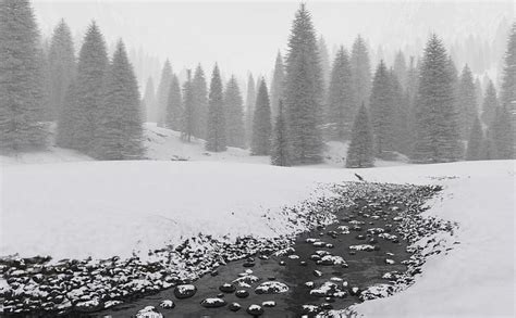 Mountain River in Winter, mountain, tree, river, winter, HD wallpaper ...