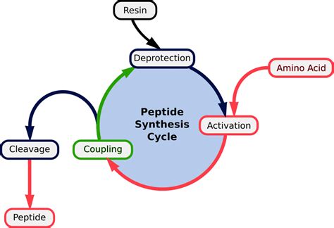 Peptide Synthesis - Methods and Reagents (Resources)