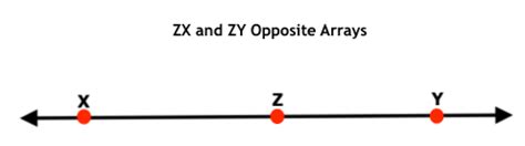 What are Lines, Line Segment, Rays, and Opposite Rays - Maths for Kids