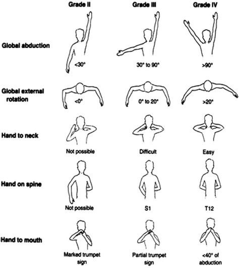 active range of motion exercises upper extremity | Shoulder range of ...