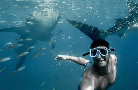 The Ultimate Florida Keys Snorkeling Guide: Expert Picks + Hidden Gems ...