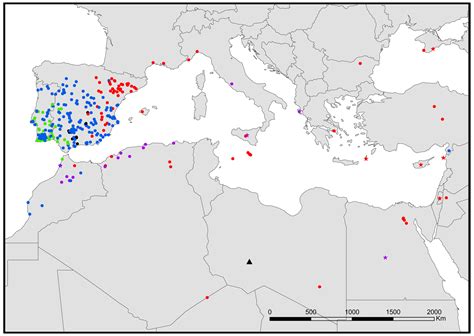 Diversity | Free Full-Text | Assessing the Diversity of Ant-Associated ...