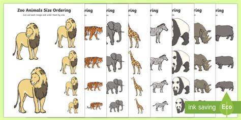 Zoo Animals Size Ordering (Teacher-Made)