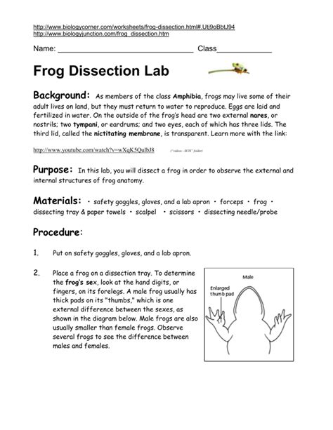 Frog dissection 2014