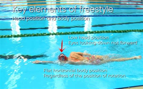 Freestyle Breathing Swimming Tips - Gold Class Swimming