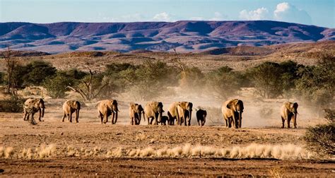 Namibian Top Sightseeing & Cultural Tour 16D/ 15N by Across Africa ...