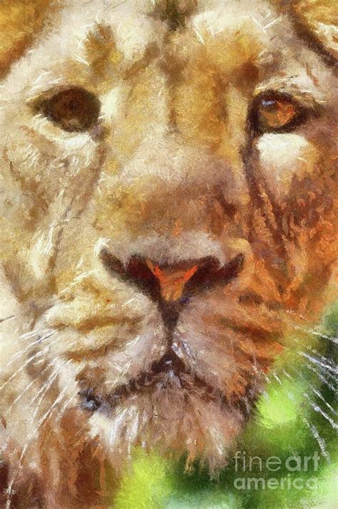 Lioness Painting by Esoterica Art Agency - Fine Art America