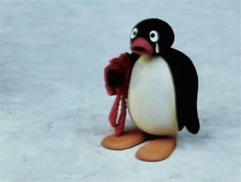 Pingu Penguin GIF – Pingu Penguin Crying – GIF elementų paieška ir ...