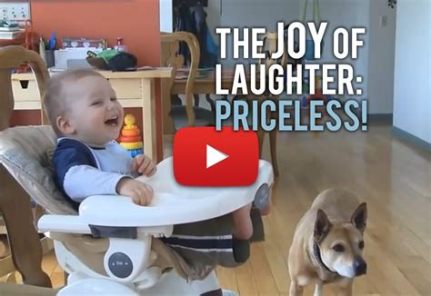 Watch this #joyful compilation of #dogs making #babies #laugh! | Cute ...