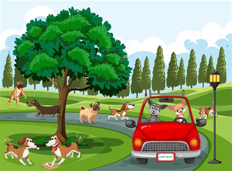 Many dogs playing in the park 6093450 Vector Art at Vecteezy