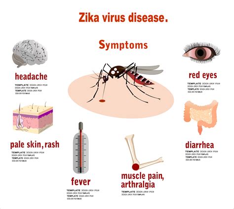 Infectious Diseases Images For Presentations: Coronavirus Pictures