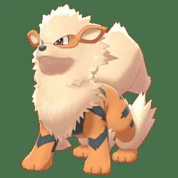 Pokemon Sword and Shield Arcanine | Locations, Moves, Weaknesses