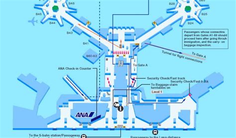 Flughafen Frankfurt Ankunft Terminal 2 Plan - arik nirvas