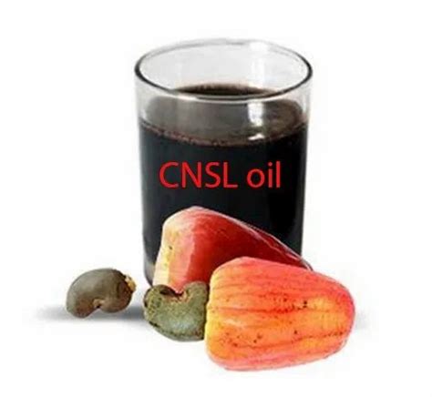 Cashew Nut Shell Liquid cnsl at Rs 27/kilogram | Cashew Nut Shell ...