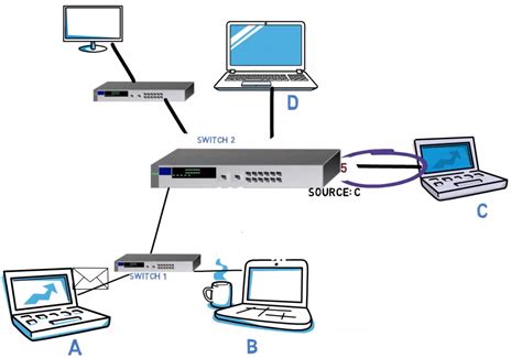 Network Devices – How Hubs and Switches Work and How to Secure Them