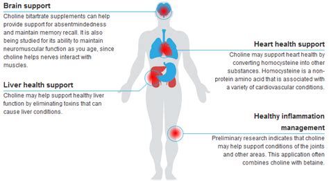 Choline Benefits | Choline Bitartrate Benefits | Xtend Life - Xtend ...