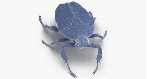 Green scarab beetle 3D model - TurboSquid 1399504