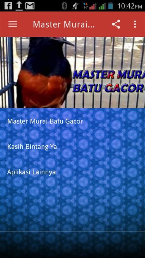 Master Murai Batu Gacor APK for Android Download