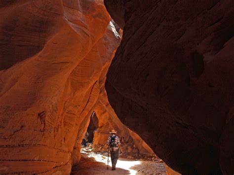 Wire Pass to Buckskin Gulch: An Amazing Hike in the Slot Canyons