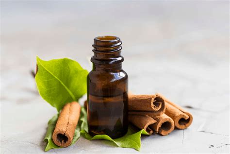 Cinnamon Essential Oil – Benefits and Uses - Crafting Her Scents