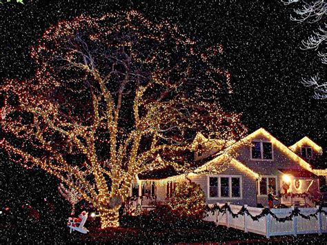 Christmas Lights in Snow Photograph by Rick Todaro - Fine Art America