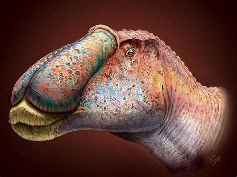 Fossils reveal new details about hadrosaur's appearance | Earth | EarthSky