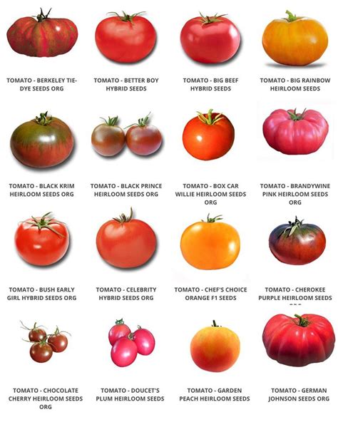 Grow a Victory Garden | Tomato seeds, Heirloom tomato seeds, Heirloom ...