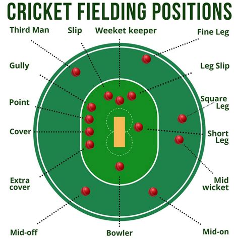 Cricket Fielding Positions: Explaining Each Basic Position