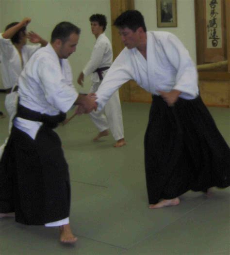 Aikido Techniques: The Four Basic Principles of Aikido | Aikido411 ...