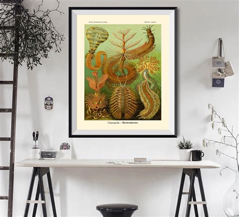 Marine Poster Marine Creature Illustration in Vintage Style | Etsy