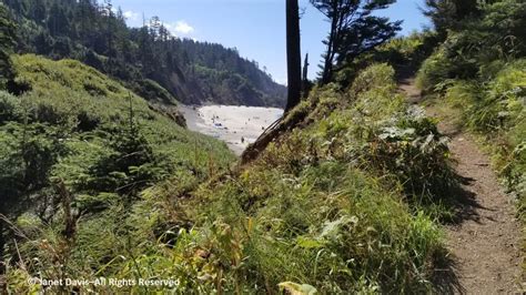 10-Ecola State Park-trail begins | Janet Davis Explores Colour