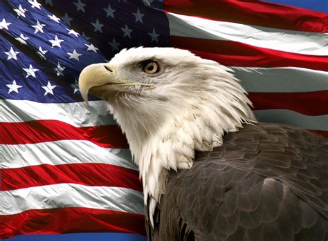 American Flag with Eagle Wallpaper - WallpaperSafari