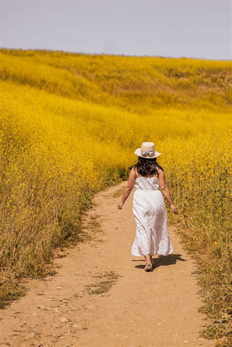 How to See the Chino Hills State Park Wildflowers (Mustard Blooms ...