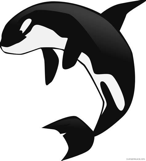 Orca clipart outline, Orca outline Transparent FREE for download on ...